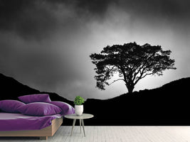 photo-wallpaper-lone-tree