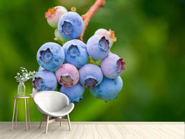 photo-wallpaper-blueberries-in-nature