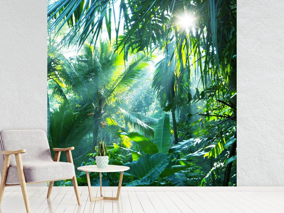 photo-wallpaper-in-tropical-forest