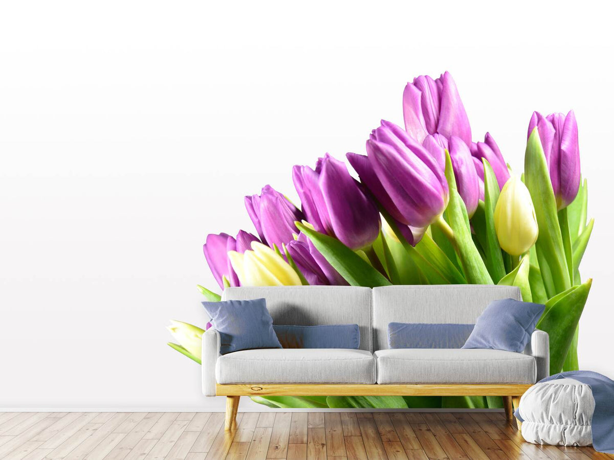 photo-wallpaper-tulips-in-xl