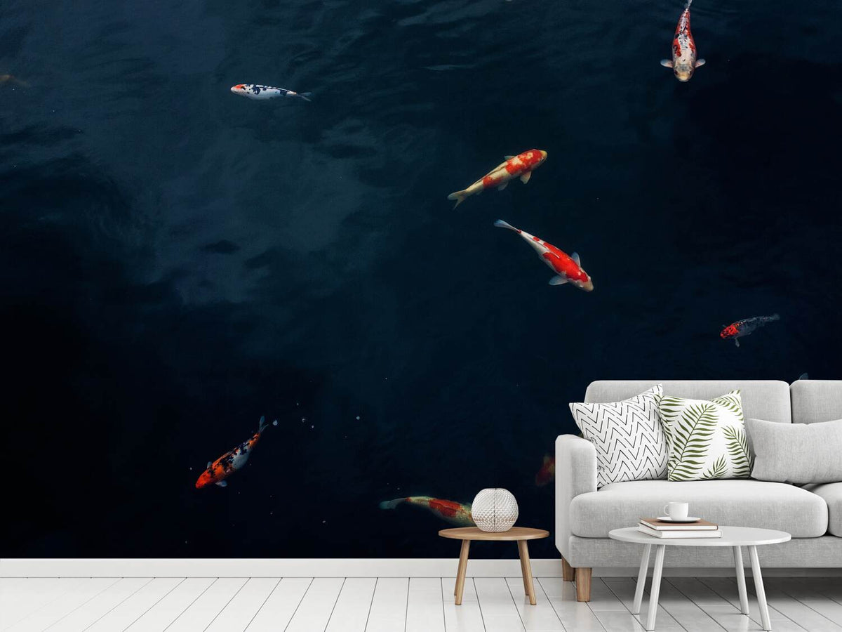 photo-wallpaper-fish-in-the-pond