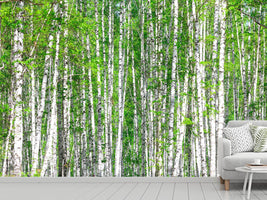 photo-wallpaper-the-birch-forest