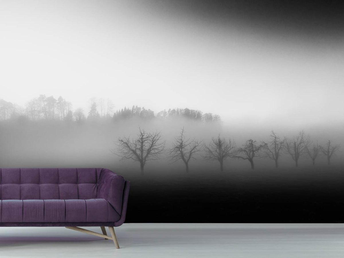 photo-wallpaper-eight-trees-in-the-mist