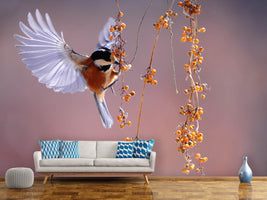 photo-wallpaper-bird-in-action