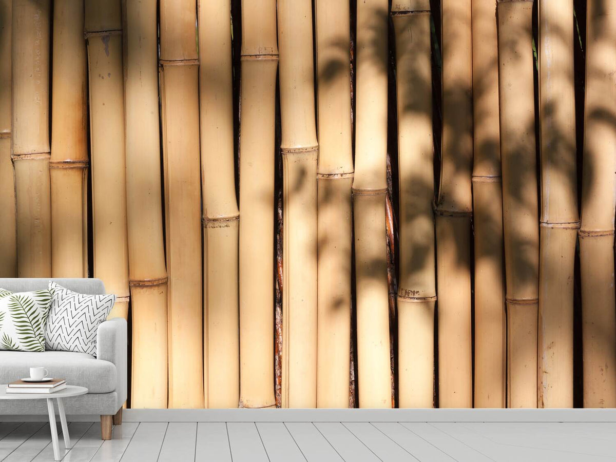 photo-wallpaper-natural-bamboo