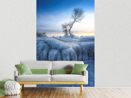 photo-wallpaper-winter-wonderland-a