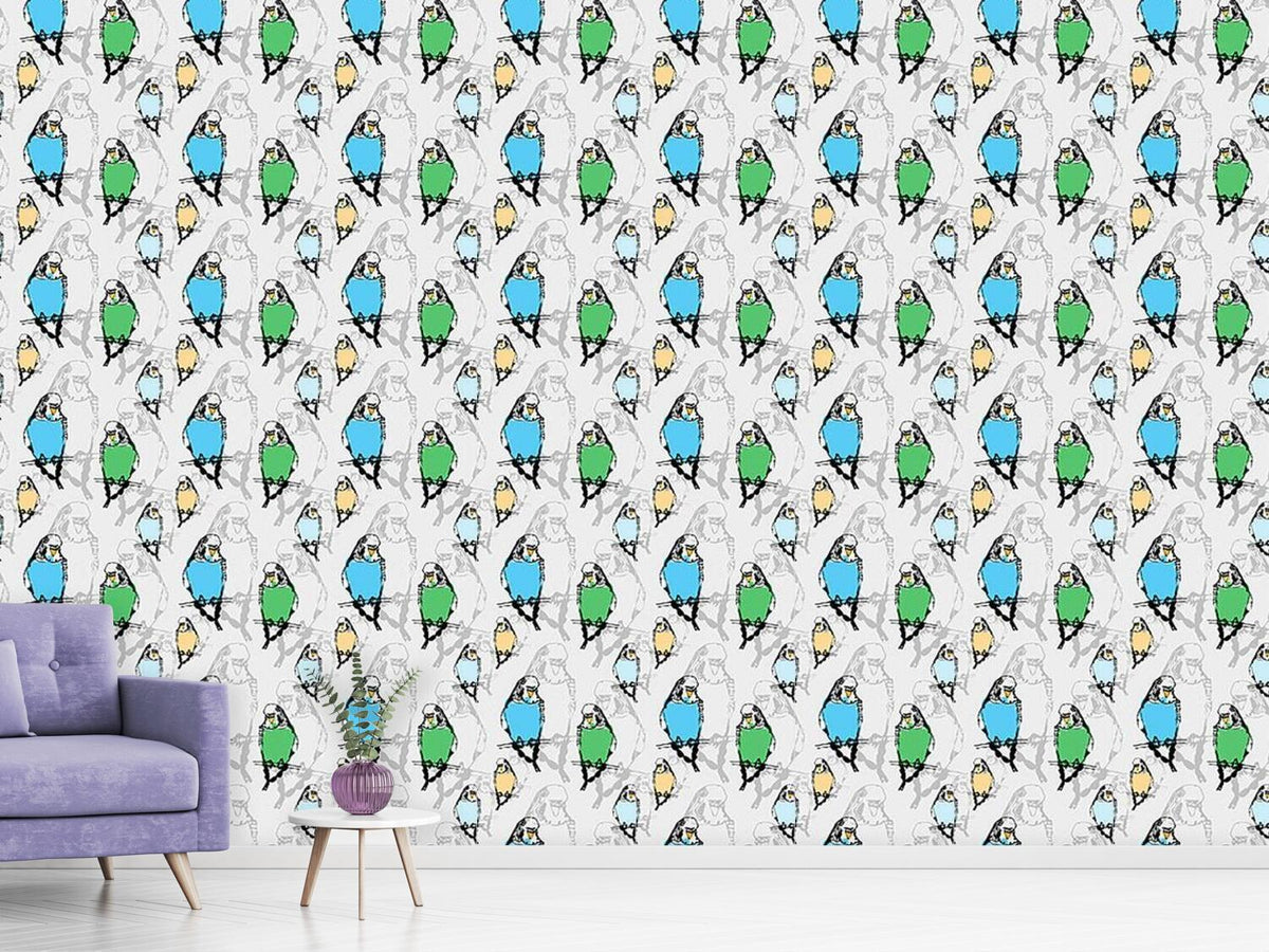 patterned-wallpaper-budgies