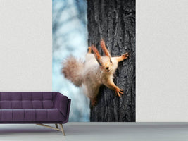 photo-wallpaper-the-squirrel