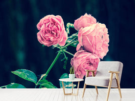 photo-wallpaper-beautiful-pink-roses