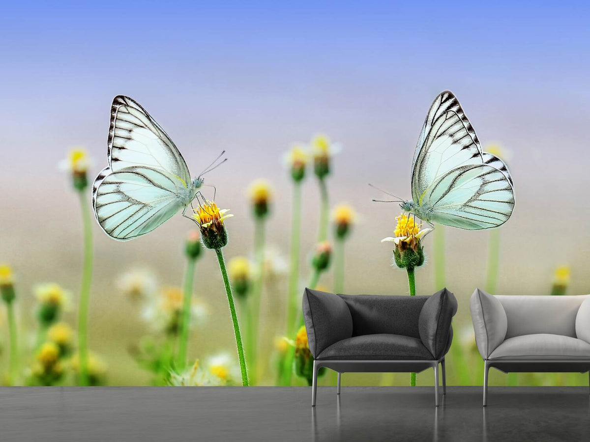 photo-wallpaper-2-butterflies