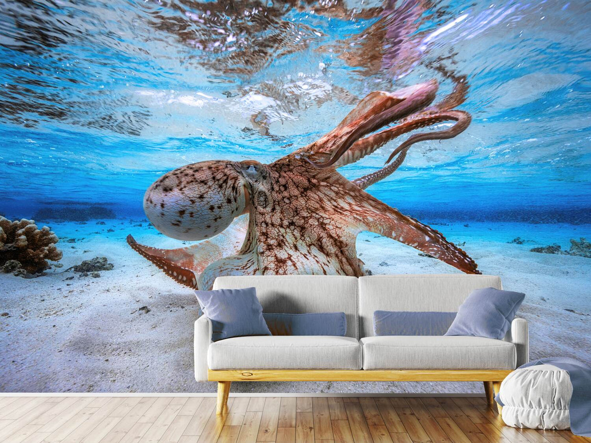 photo-wallpaper-dancing-octopus