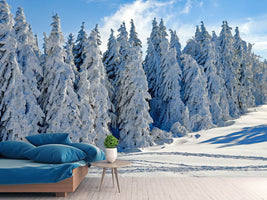 photo-wallpaper-beautiful-winter-landscape