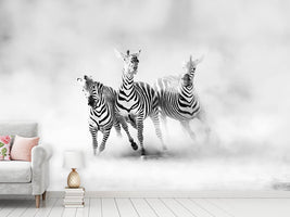 photo-wallpaper-zebras