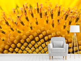 photo-wallpaper-the-buds-of-the-sunflower-in-xxl