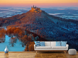 photo-wallpaper-hohenzollern-in-winter-mood