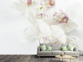 photo-wallpaper-fantastic-orchids