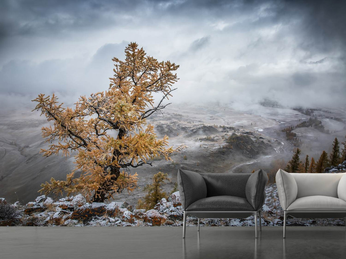 photo-wallpaper-cold-autumn-morning-in-the-mountains-x