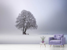 photo-wallpaper-winter-light-xpy