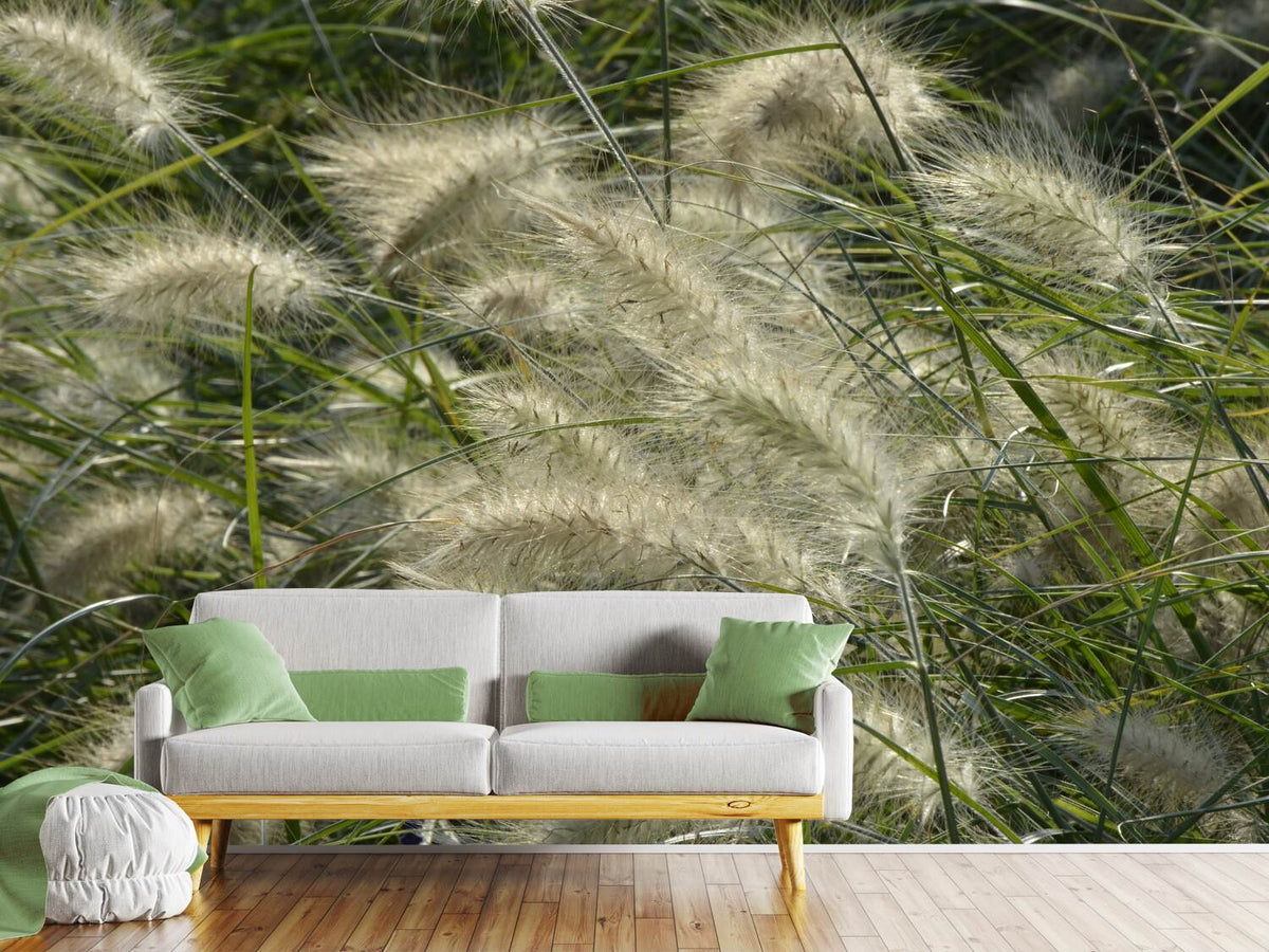 photo-wallpaper-ornamental-grass-in-the-wind