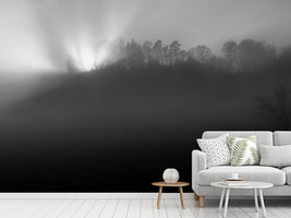 photo-wallpaper-foggy-and-sunny-weather