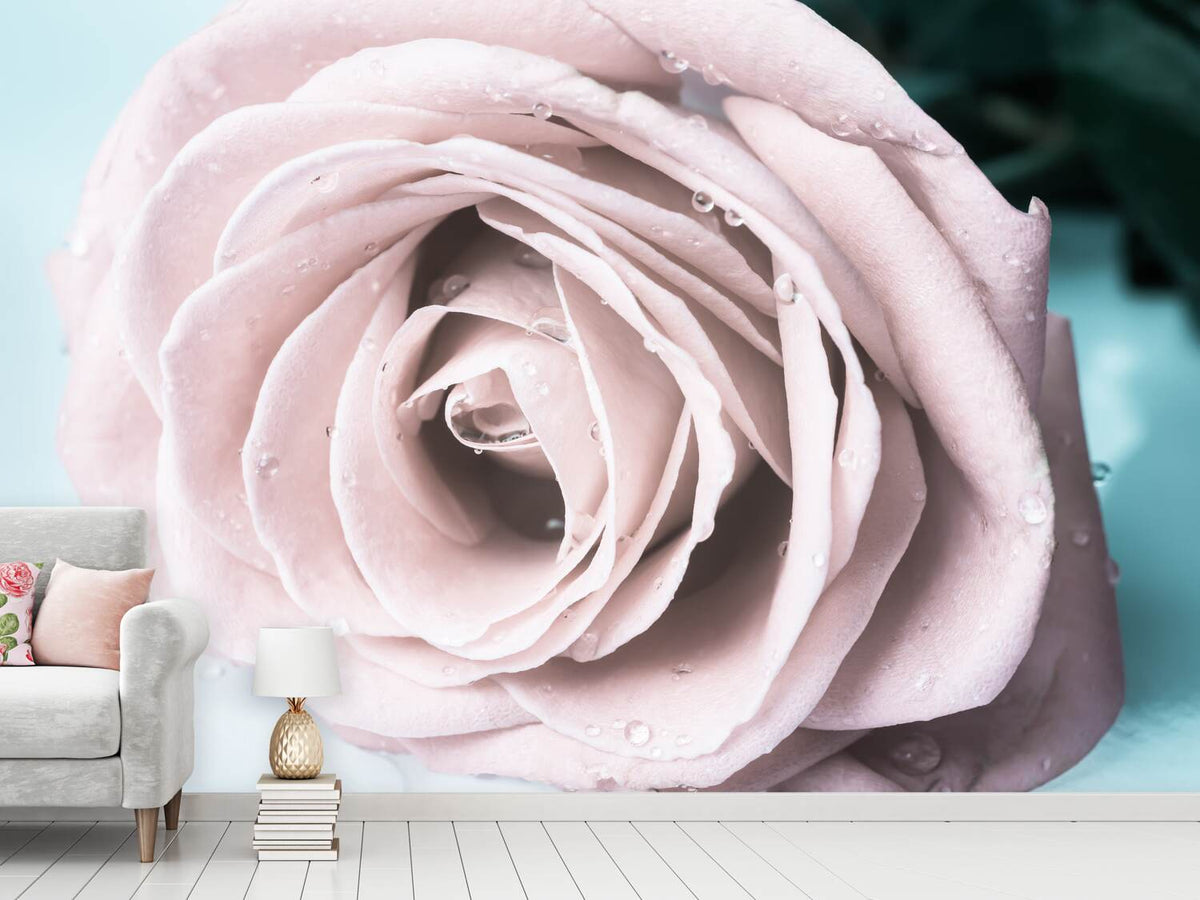 photo-wallpaper-pastel-rose