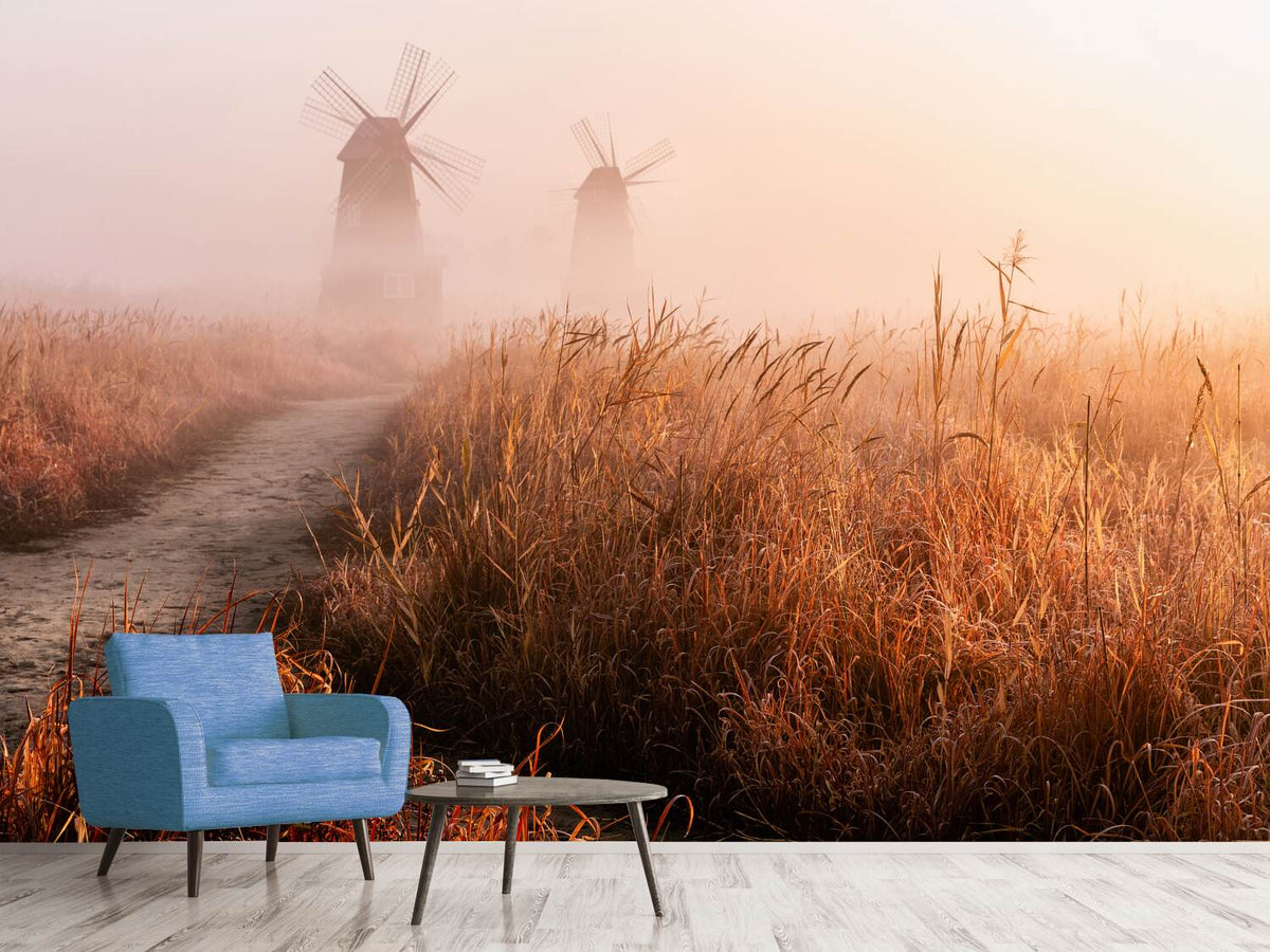 photo-wallpaper-morning-mist-x