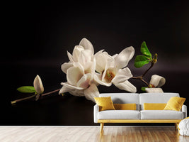 photo-wallpaper-magnolia