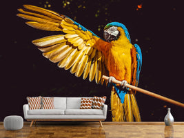 photo-wallpaper-the-macaw