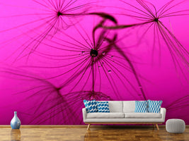 photo-wallpaper-dandelion-in-pink