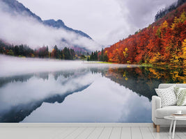 photo-wallpaper-autumn-reflections-x