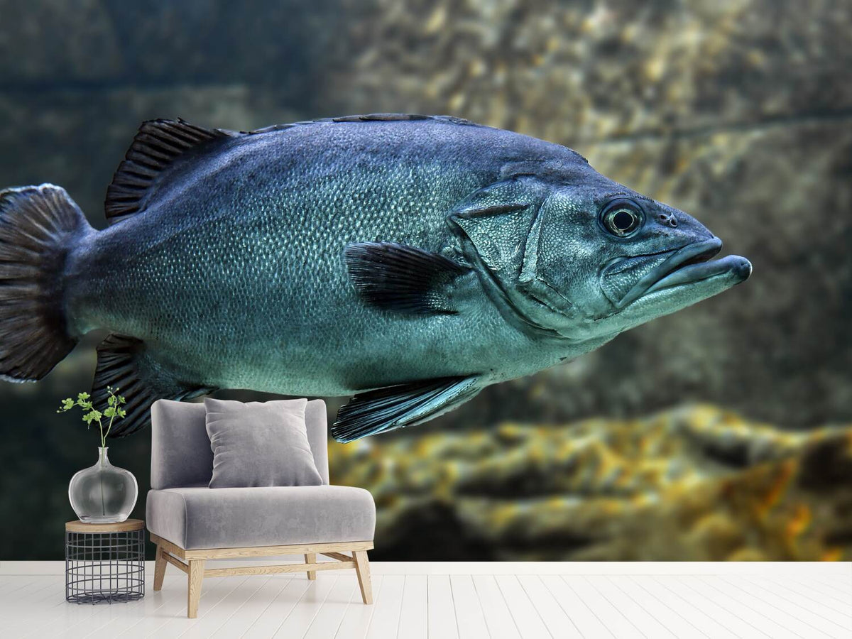 photo-wallpaper-big-fish